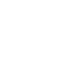 Hockey Puck + Car Icon