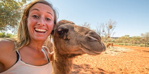 Zoo Camel