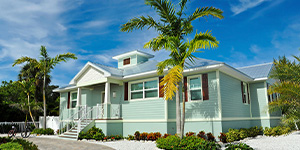 Green home with palm trees.